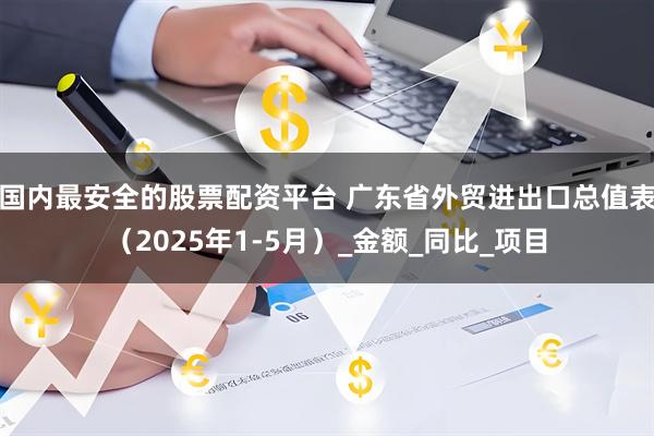 国内最安全的股票配资平台 广东省外贸进出口总值表（2025年1-5月）_金额_同比_项目