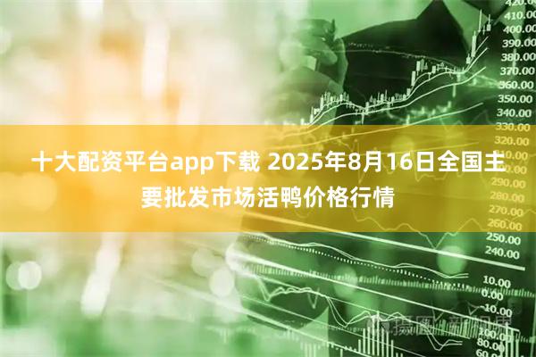 十大配资平台app下载 2025年8月16日全国主要批发市场活鸭价格行情