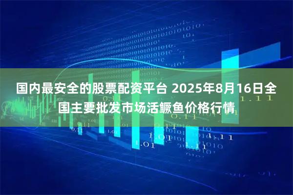 国内最安全的股票配资平台 2025年8月16日全国主要批发市场活鳜鱼价格行情